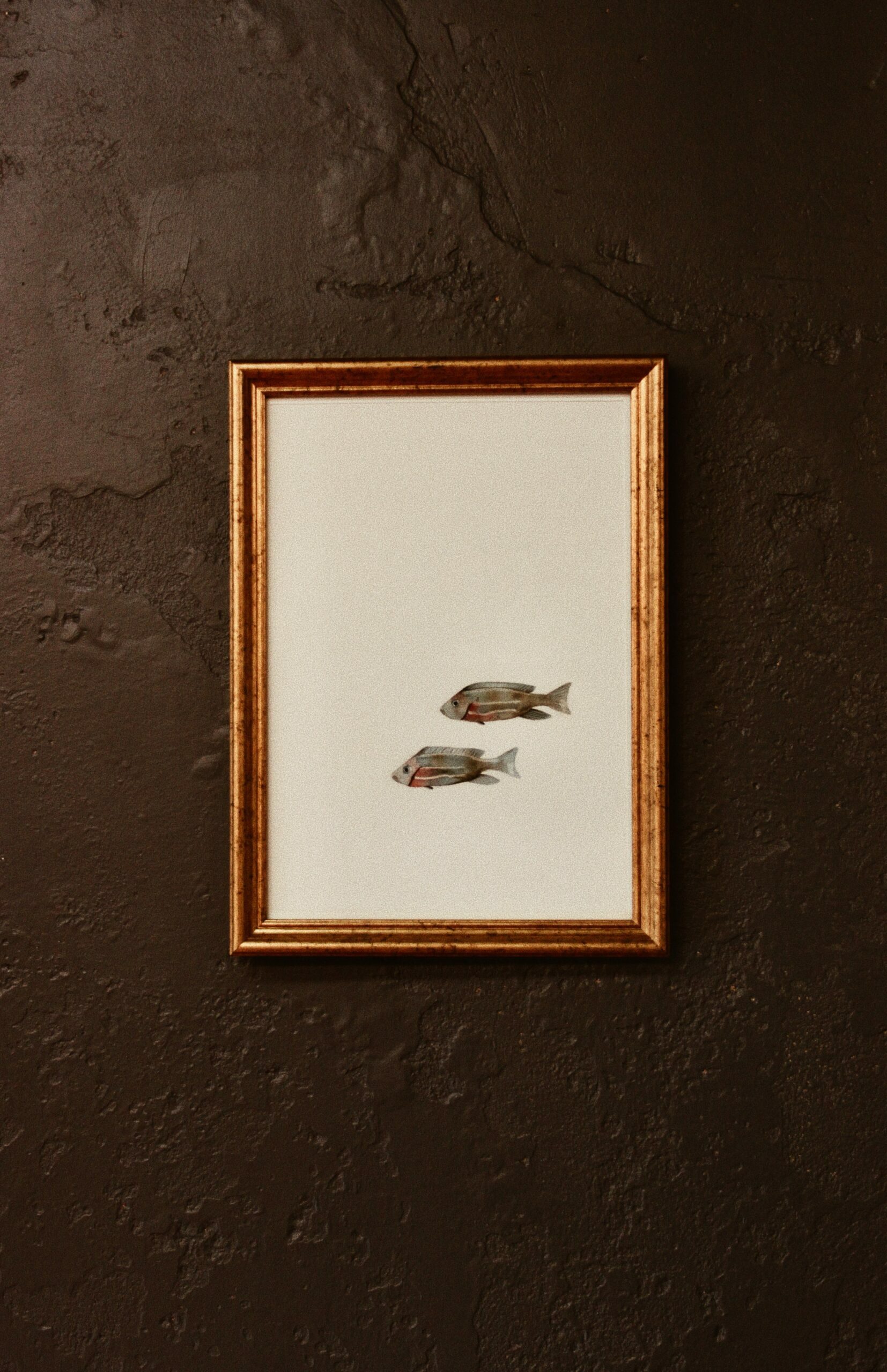 Ilustración enmarcada de dos peces