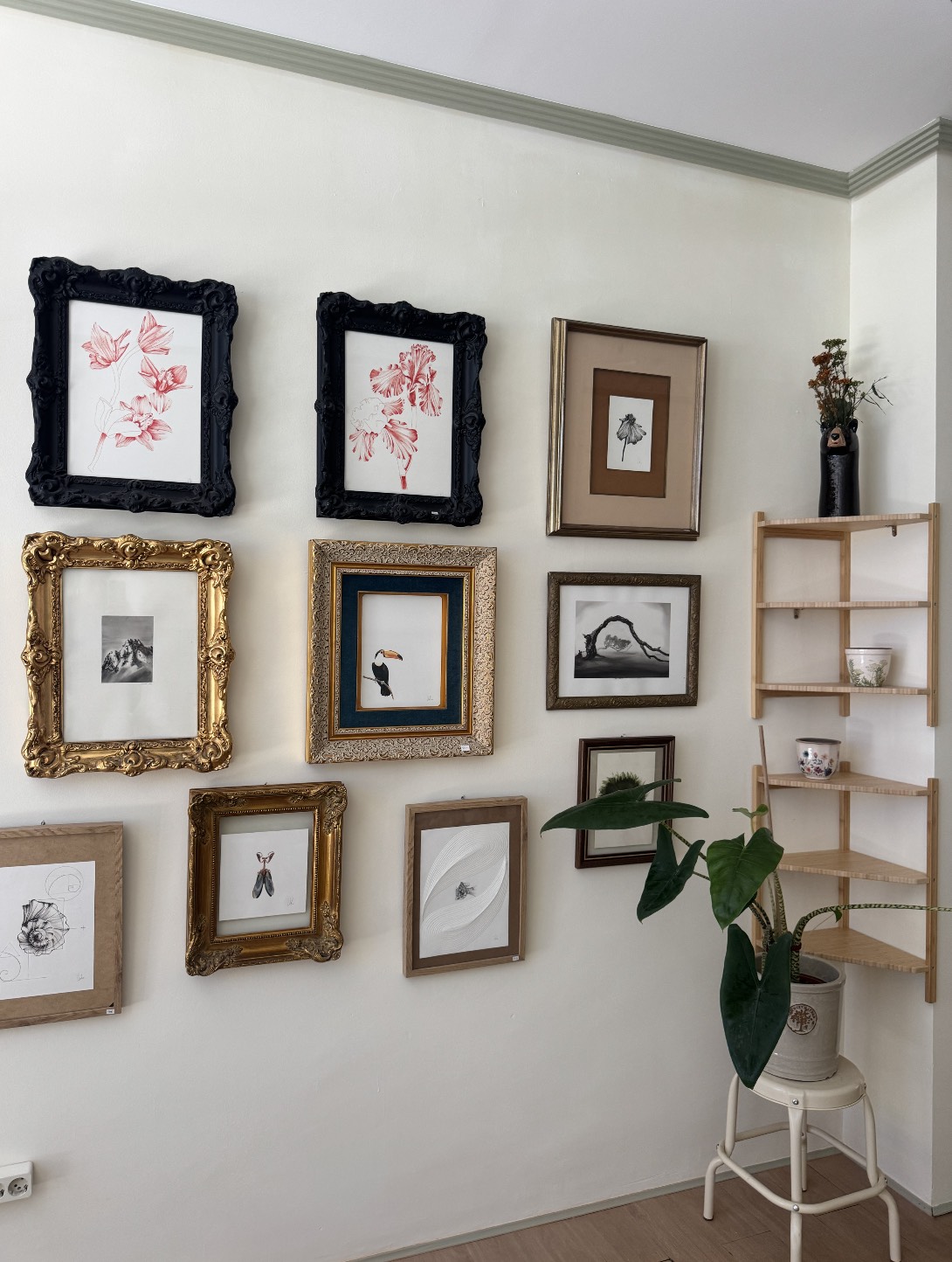 Pared del estudio con ilustraciones enmarcadas y una estantería de madera