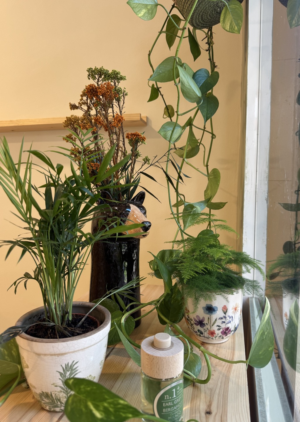 Rincón del estudio junto a la ventana, con plantas y macetas