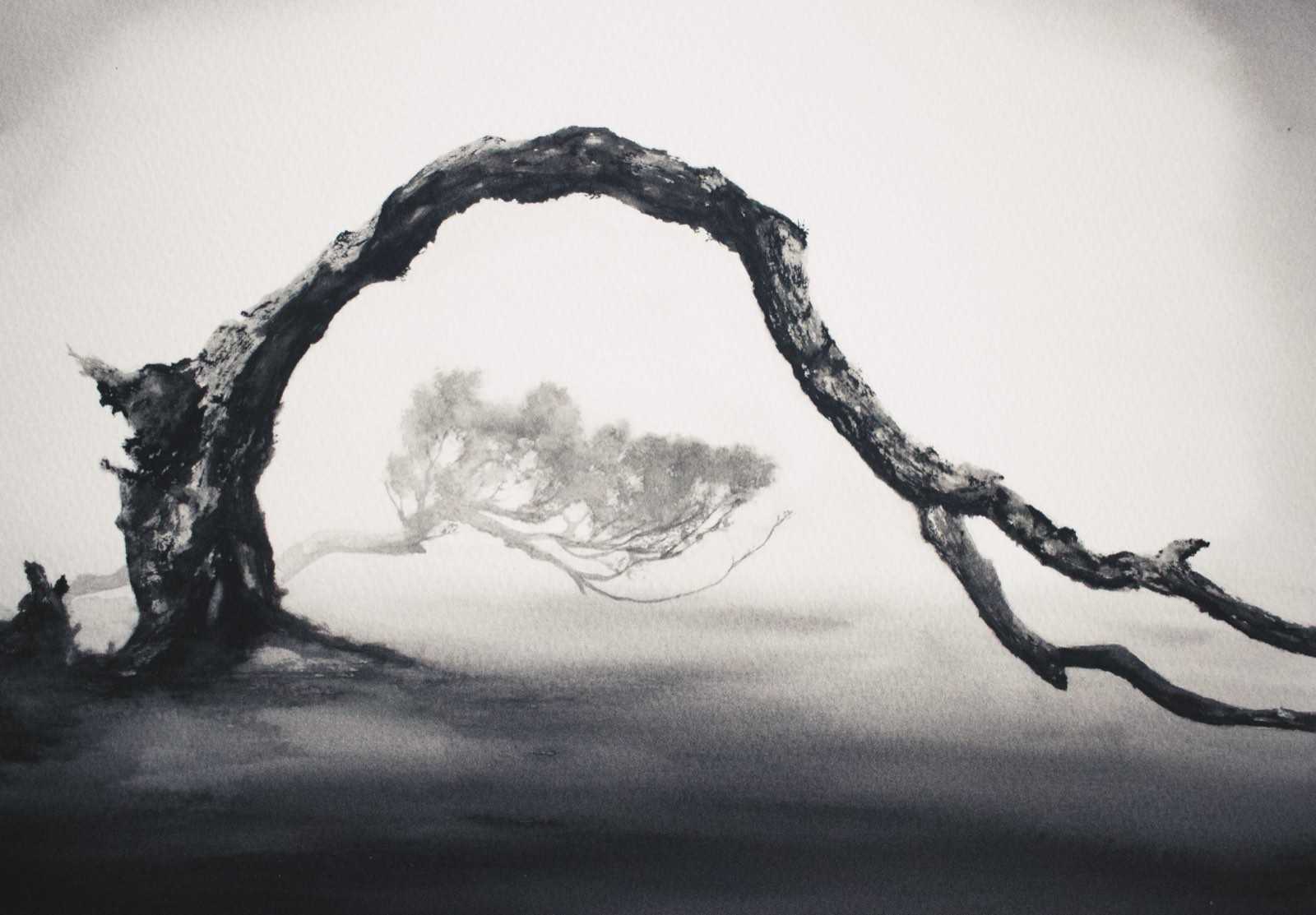 Acuarela en blanco y negro de un árbol de rama retorcida